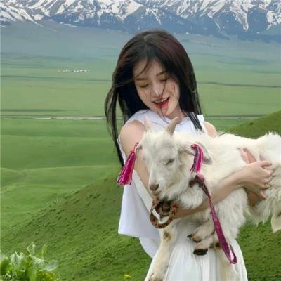 间谍亚契第九季 在线观看封面